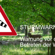 Sturmwarnung Wäler