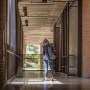 Bilanz zum Halbjahreswechsel – Zeugnisse