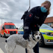 Polizei befreit hilflosen Hund auf Brücke – Hunderettung