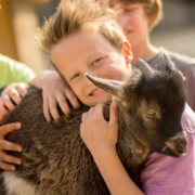 Tierisches Zoo-Abenteuer für Feriengruppen – Sommerausflug Erlebnis Zoo