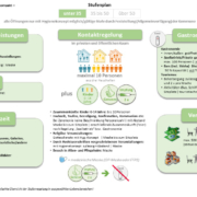 Stufenplan im schnellen Überblick – Stufenplan im Überblick