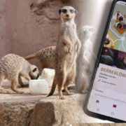 Erlebnis-Zoo App