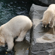 Saisonwechsel im Erlebnis-Zoo