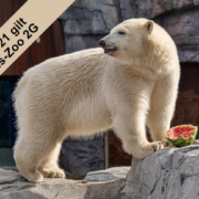 Ab morgen gilt die 2G-Regel im Erlebnis-Zoo – Erlebnis Zoo 2G