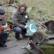 Tierische Inventur im Erlebnis-Zoo Hannover – Zoo Zählung 1