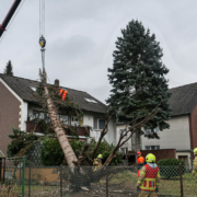 Baum stürzt auf Haus – BGPress 2233