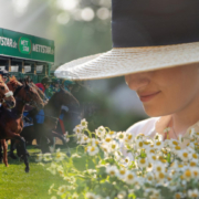 Neue Bult - Audi Ascot-Renntag am Sonntag, den 21. August 2022 – Pferderennen Ascot pixabay cmm
