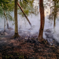 Waldbrand Hämeler Wald FFLehrte