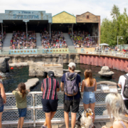 Erlebnis-Zoo Hannover erhält Goldrang für Familienfreundlichkeit – Yukon Stadium cmm