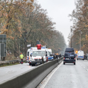 Polizei sichert zweiten Tag in Folge Rodungen in der Leinemasch – Absicherung Rodung