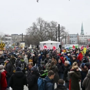 Klimakrise Demo
