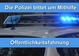Öffentlichkeitsfahndung