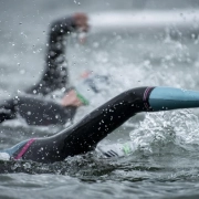 Countdown für den Wasserstadt-Triathon – Wasserstadt Triathlon