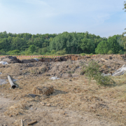 Kampfmittelbeseitigung