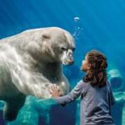 Erlebnis-Zoo Hannover