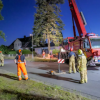 Baum und Feuerwehrkran