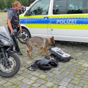 Spürhund schlägt an: Zoll stellt MDMA in Sektflasche sicher – BGPress 1175247