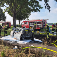 PKW gegen Baum