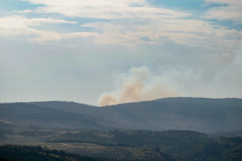 Waldbrand