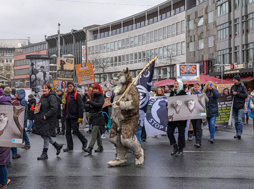 Gegendemonstranten Jagd