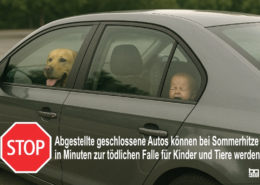Lebensgefahr im Auto: Hitze wird schnell zur Todesfalle Hitzefalle
