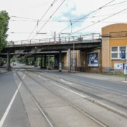 Hainholz