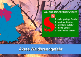 Stufe 5 erreicht: Waldbrandrisiko in vielen Regionen hoch Waldbrandstufe 5