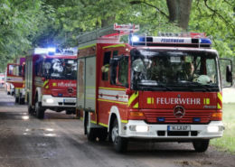 Feuerwehr übt Waldbrandbekämpfung bei Maspe Vegetationsbrand Übung