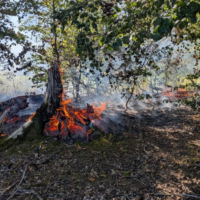 Waldbrand im Deister