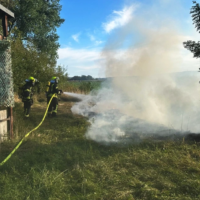 Vegetationsbrand nahe Gehrden schnell gelöscht Vegetationsbrand