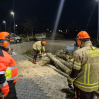 Feuerwehr Lehrte schult Motorsägenkräfte Motorsägenausbildung