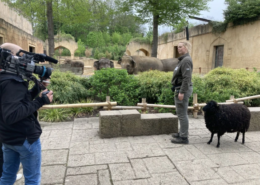 Tierpflegerin im Fernsehen