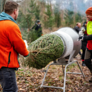 Heimische Weihnachtsbäume