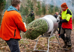 Heimische Weihnachtsbäume