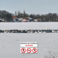 Eisfläche nicht betreten