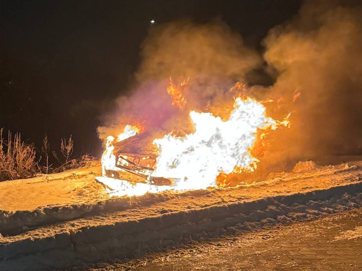PKW-Brand in Höver