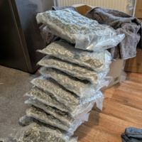 Rauschgift Beschlagnahmung