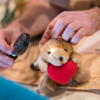 Stofftierklinik im Zoo Hannover