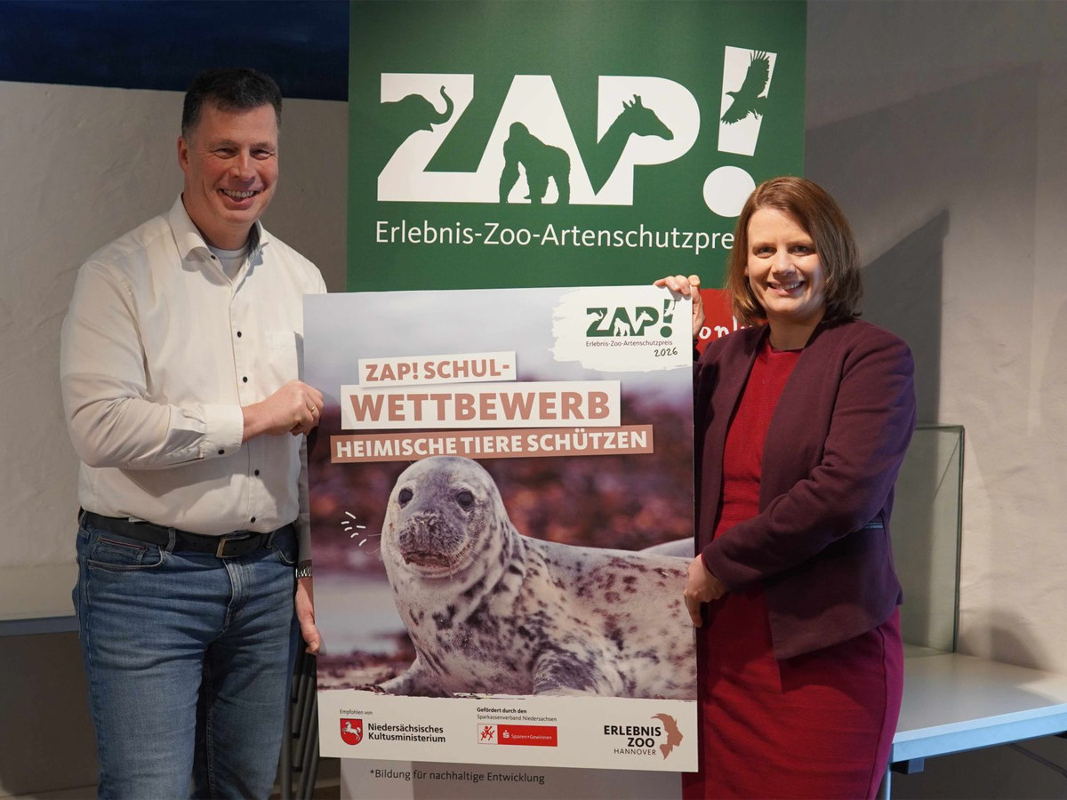 ZAP Schulwettbewerb