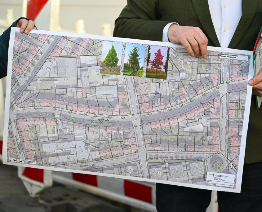 Baumbepflanzungsplan