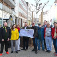 Baumpflanzung Voßstraße