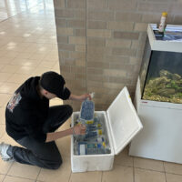 Schulfische nach Brand wieder in Hannoverer Schule vereint Schulfische nach Brand wieder in Hannoverer Schule vereint – Ankunft Fische