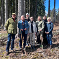 Aufforstung im Deister