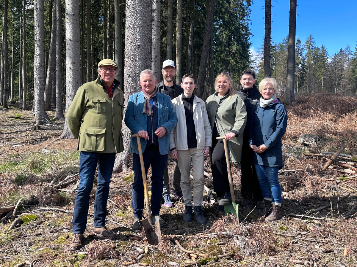 Aufforstung im Deister