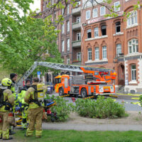 Zimmerbrand Postkamp