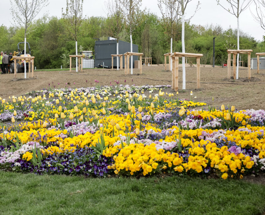 Ministerpräsident besucht Landesgartenschau Bad Nenndorf vor Eröffnung – LAGA4 cmm