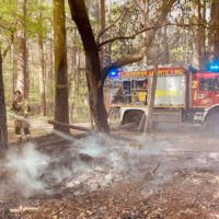 Waldbrand bei Ahlten