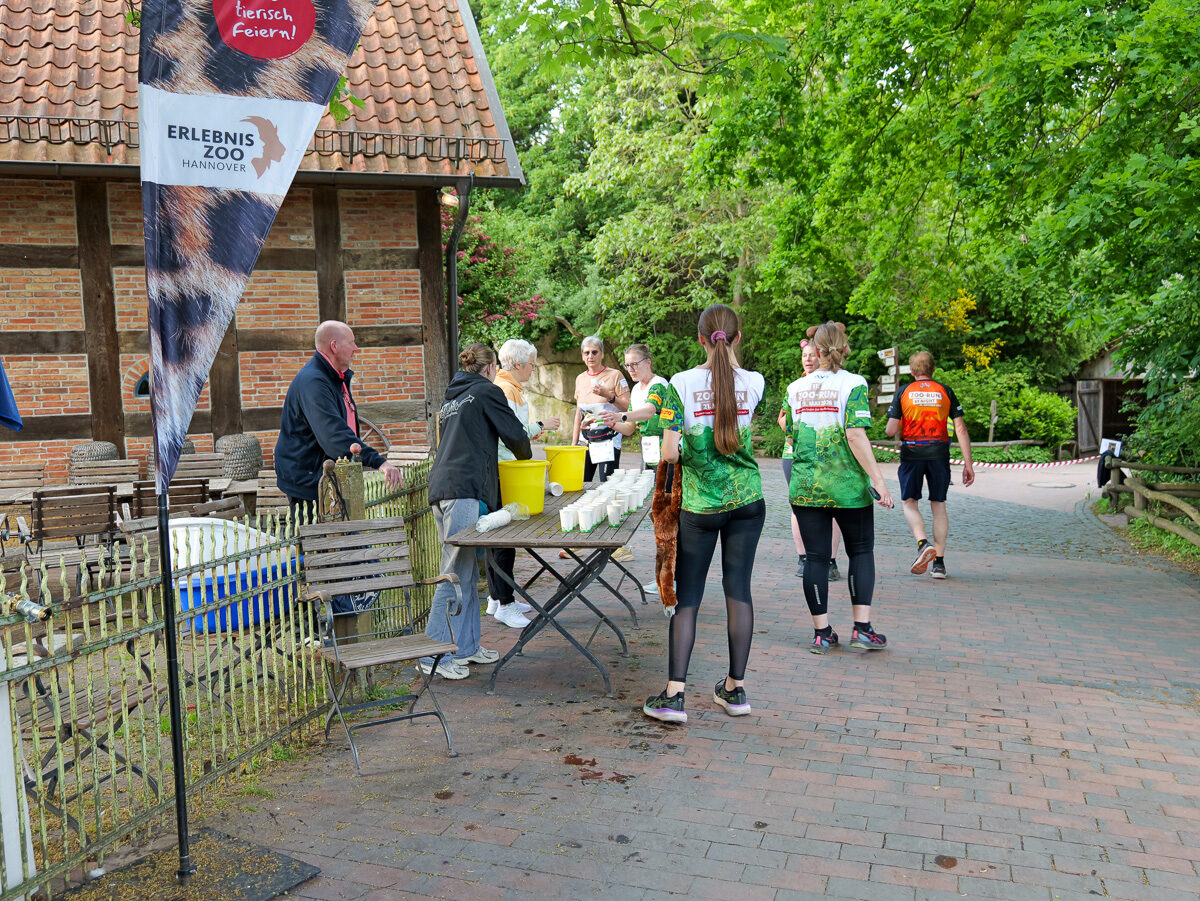 Zoo-Run 2026 Hannover Zoo-Run 2026 sammelt 9.120 Euro für bedrohte Gibbons in Hannover – BGPress 20260521 1826 BGPRESS 1398013