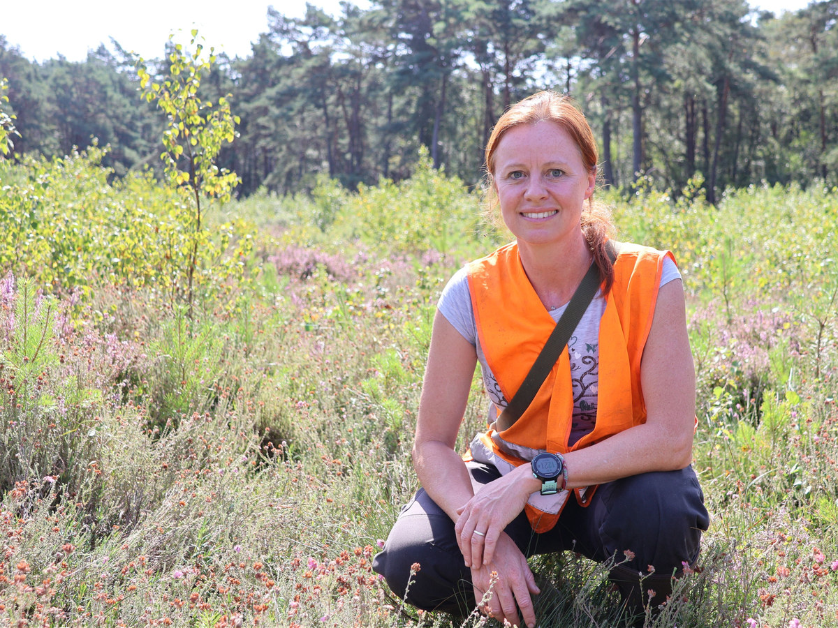 Oldhorster Moor soll wieder zur Schwammlandschaft werden Oldhorster Moor