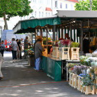 100 Jahre Wochenmarkt in Hannover: Fiedelerplatz feiert Jubiläum 100 Jahre Wochenmarkt